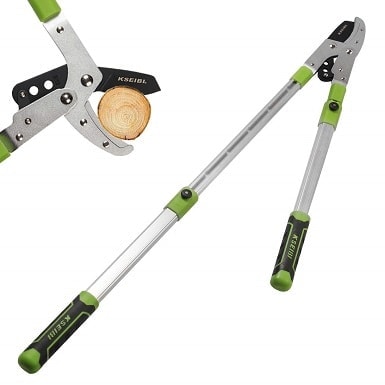 6 Best Loppers of 2022 — Reviews & Top Picks