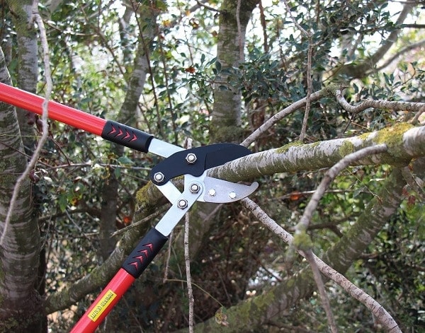 6 Best Loppers of 2022 — Reviews & Top Picks