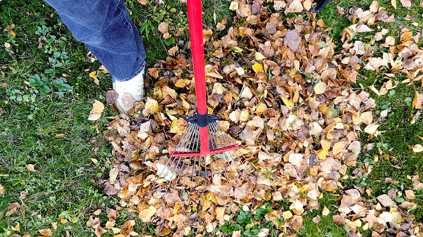 Best Rake  for Acorns 2022 – Reviews & Top Picks
