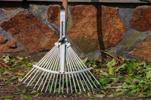 Best Rake  for Acorns 2022 – Reviews & Top Picks
