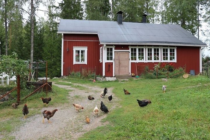 18 Free DIY Chicken Tractor Plans You Can Make Today