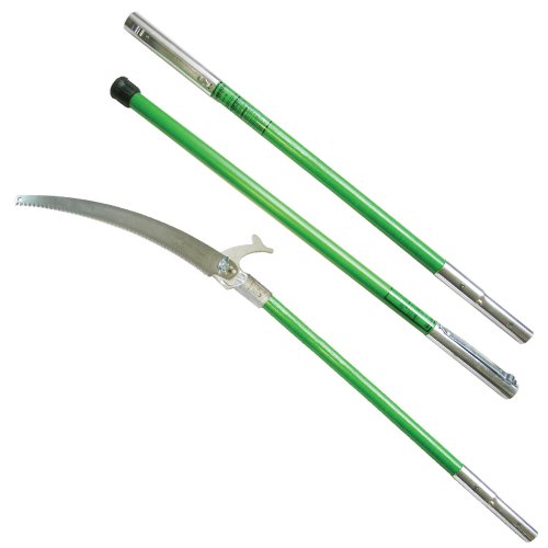 6 Best Manual Pole Saws – Reviews & Buyer’s Guide for 2022