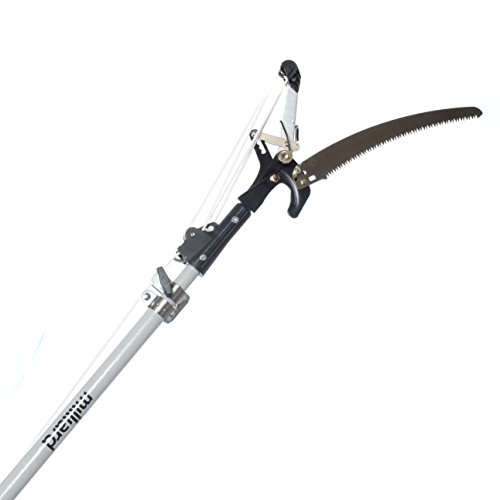 6 Best Manual Pole Saws – Reviews & Buyer’s Guide for 2022