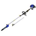 5 Best Gas Pole Saws of 2022 – Reviews & Buyer’s Guide