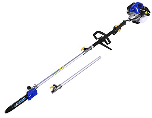 5 Best Gas Pole Saws of 2022 – Reviews & Buyer’s Guide