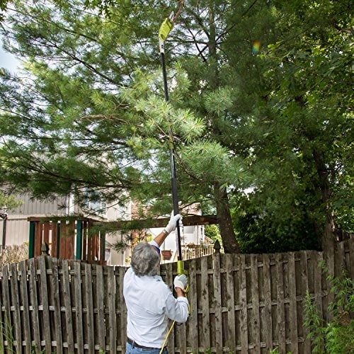 5 Best Gas Pole Saws of 2022 – Reviews & Buyer’s Guide