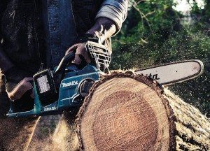 10 Best Cordless Chainsaws of 2022 &#8211; Reviews &#038; Top Picks