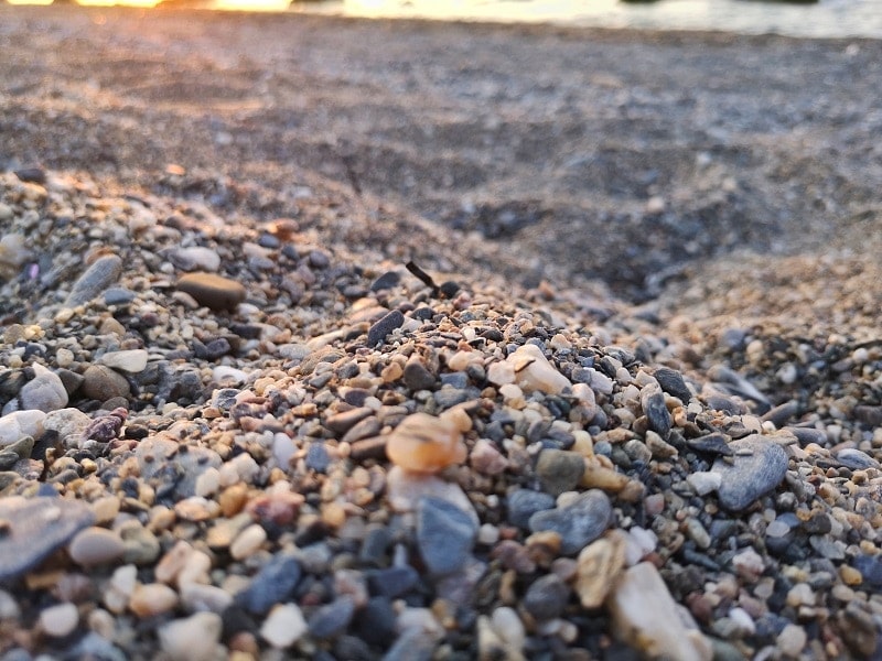 10 Best Stone & Gravel Types for Landscaping (Pros & Cons)