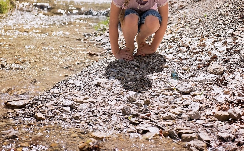 10 Best Stone & Gravel Types for Landscaping (Pros & Cons)