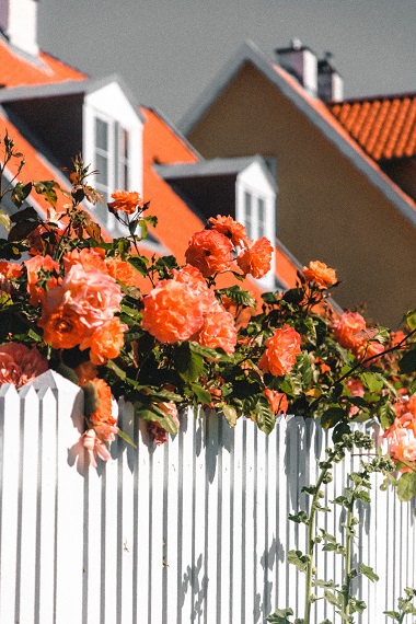 20 Brilliant Pressure Washer Uses You Didn’t Think About!