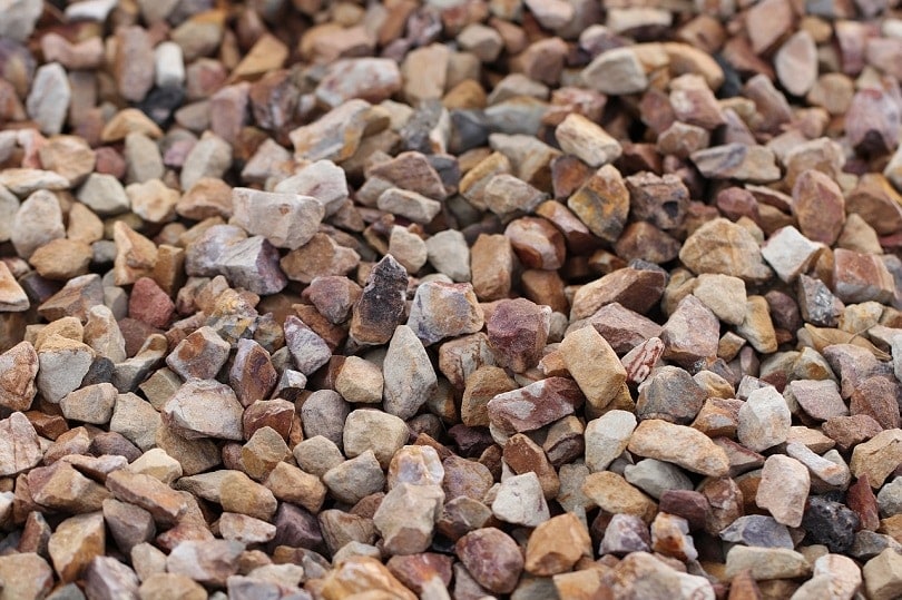 5 Best Gravel Types for Patios (Pros & Cons)