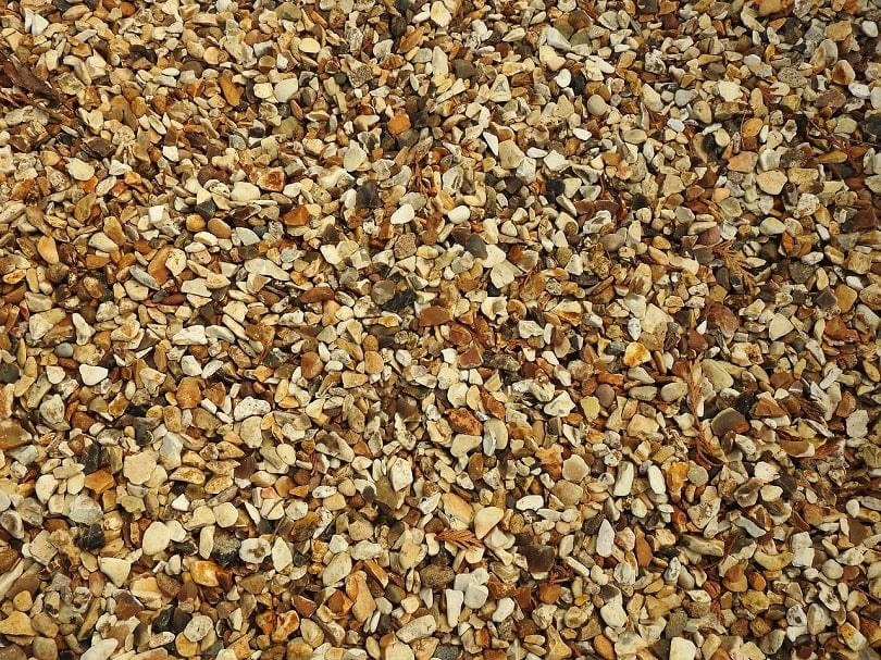 5 Best Gravel Types for Patios (Pros & Cons)