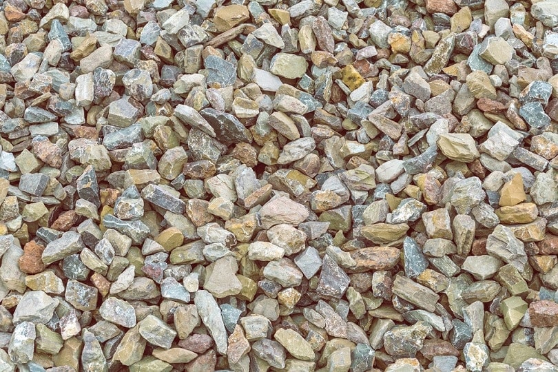 5 Best Gravel Types for Patios (Pros & Cons)