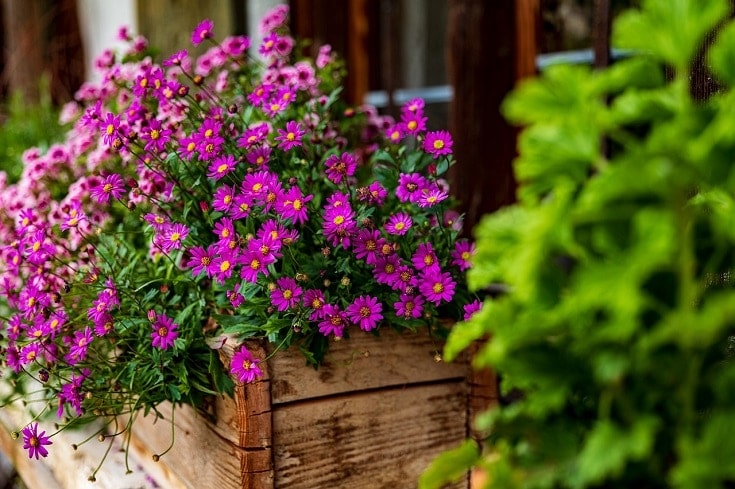 12 DIY Window Box Plans You Can Build Today (with Pictures)