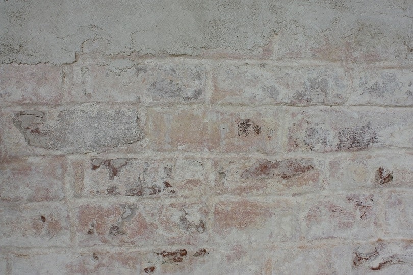 How to Whitewash Brick (5 Quick & Easy Steps)