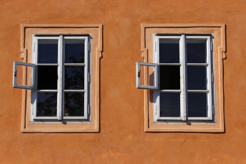 How Much Does It Cost to Replace Windows? What You Need To Know!