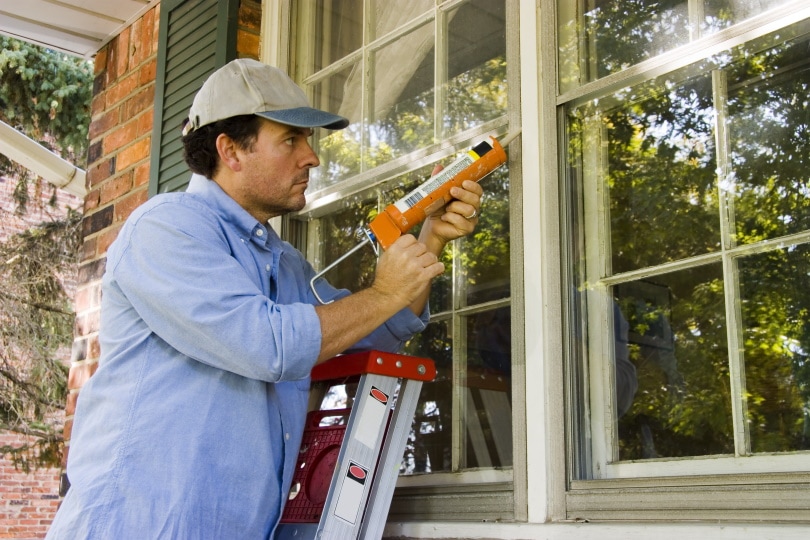 How Much Does It Cost to Replace Windows? What You Need To Know!