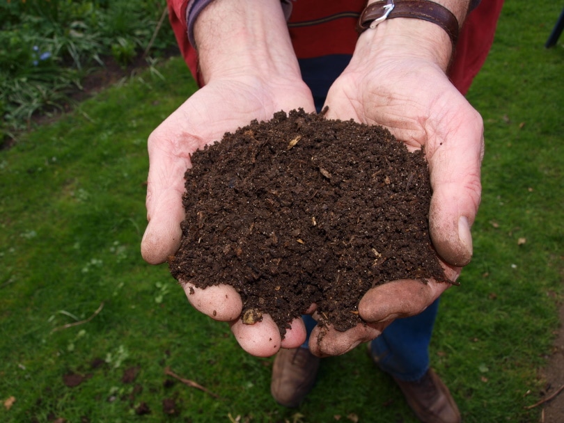 10 Composting Facts – Statistics and Data in 2022
