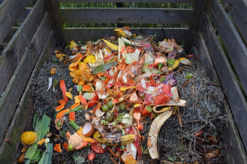 10 Composting Facts – Statistics and Data in 2022