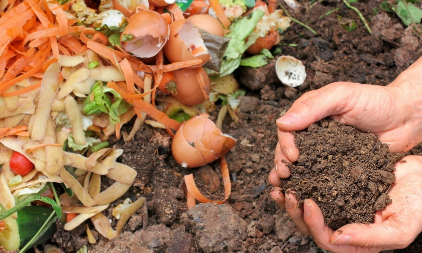 10 Composting Facts – Statistics and Data in 2022