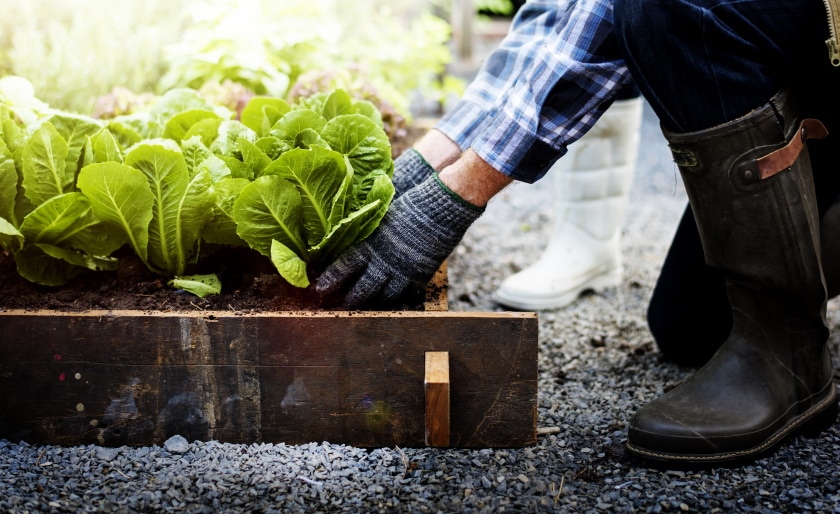 10 Composting Facts – Statistics and Data in 2022