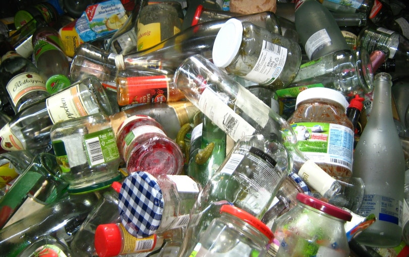 12 Recycling Facts – Statistics and Data in 2022