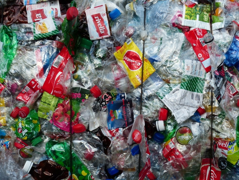 12 Recycling Facts – Statistics and Data in 2022