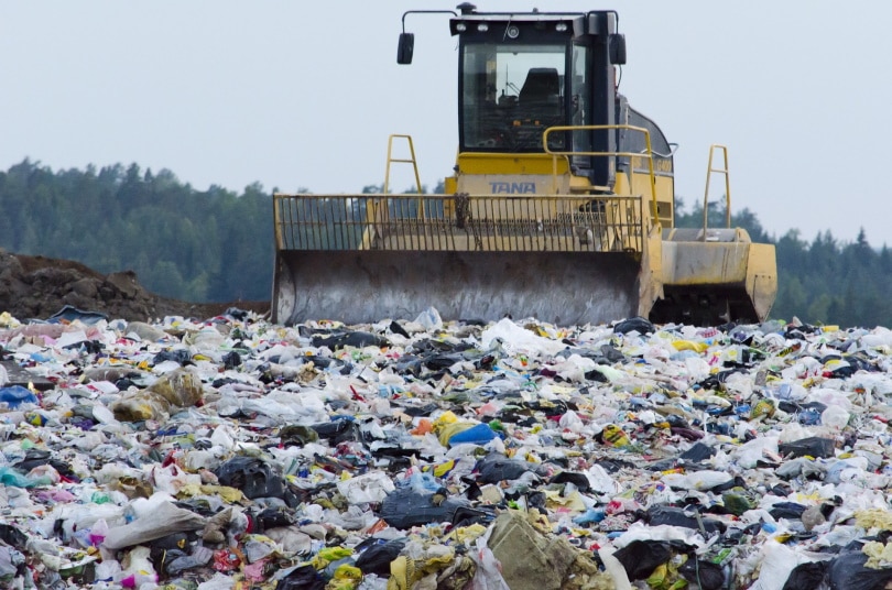 12 Recycling Facts – Statistics and Data in 2022