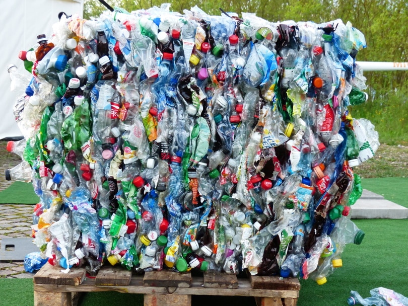 12 Recycling Facts – Statistics and Data in 2022