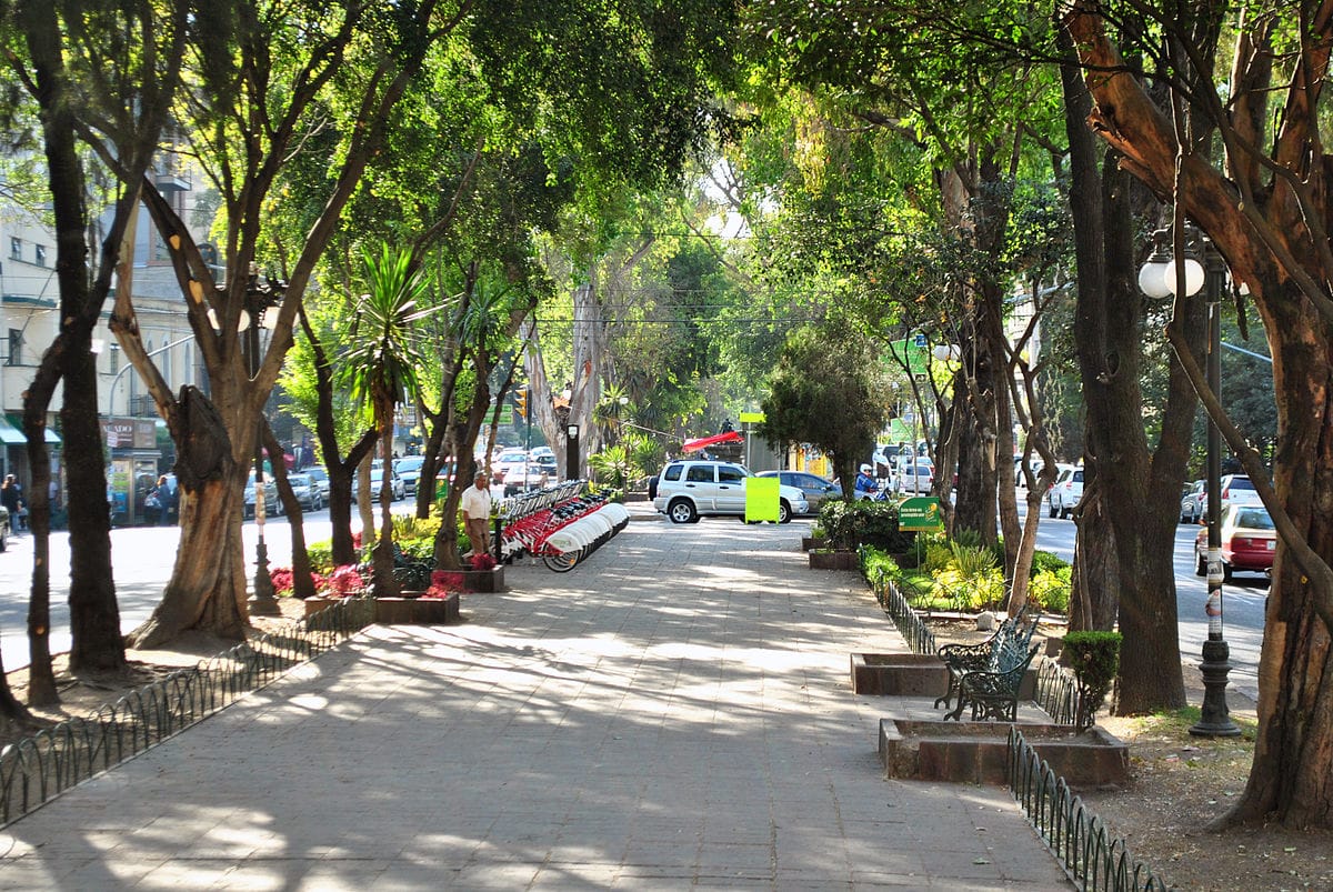 25 Most Dangerous Cities in the World (2022)