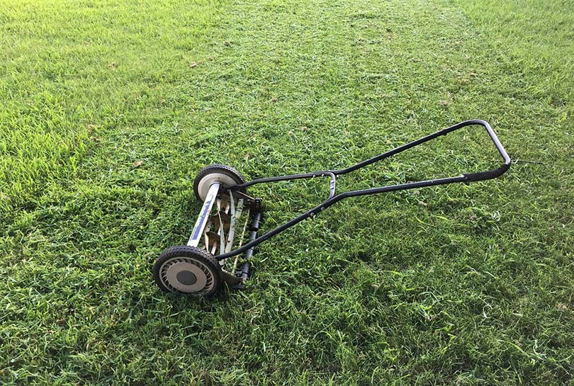 11 Lawnmower Accident Statistics (2022 Update)