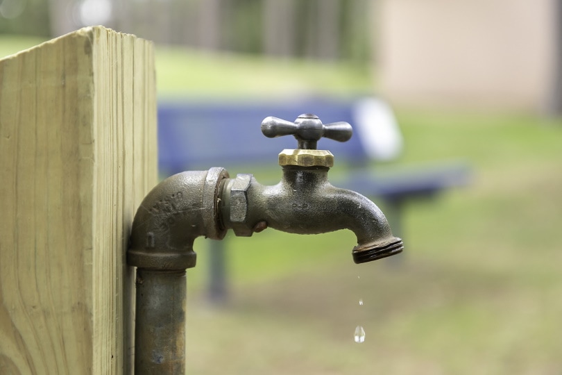 Low Water Pressure in the House: 10 Causes and Solutions