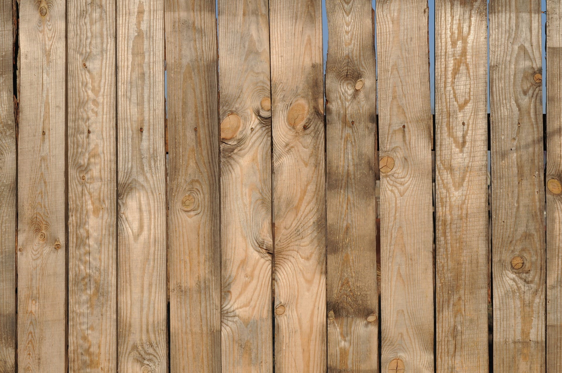 8 Different Types Of Wood Fences (With Pictures)