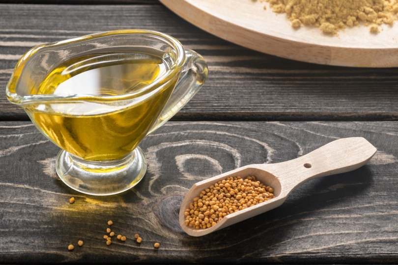 8 Homemade Dog Pee Repellents You Can Create Yourself