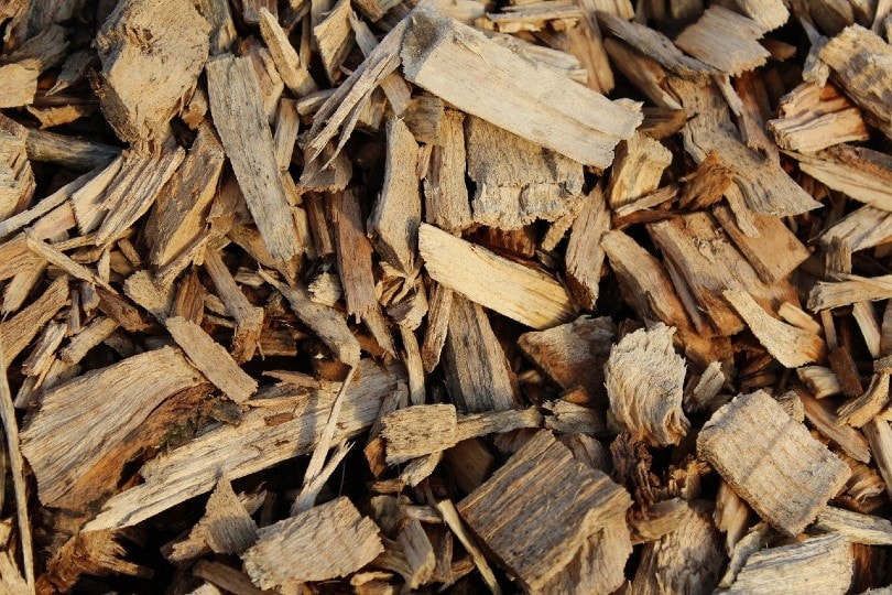 8 Different Types of Wood Mulch