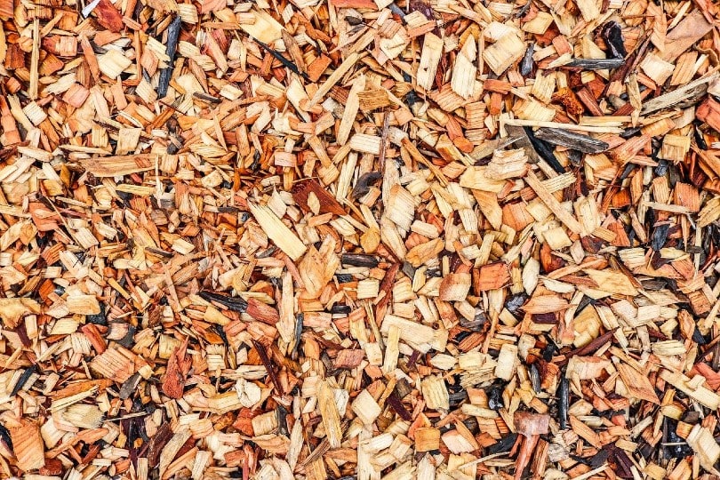 8 Different Types of Wood Mulch