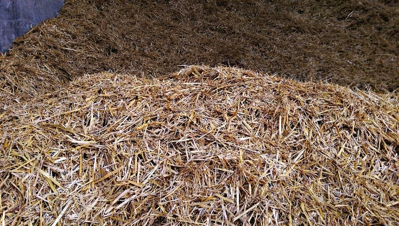 8 Different Types of Wood Mulch