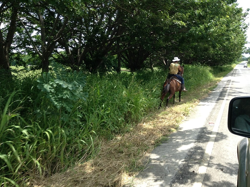 25 Safest Cities and Cantons in Costa Rica (2022 Update)