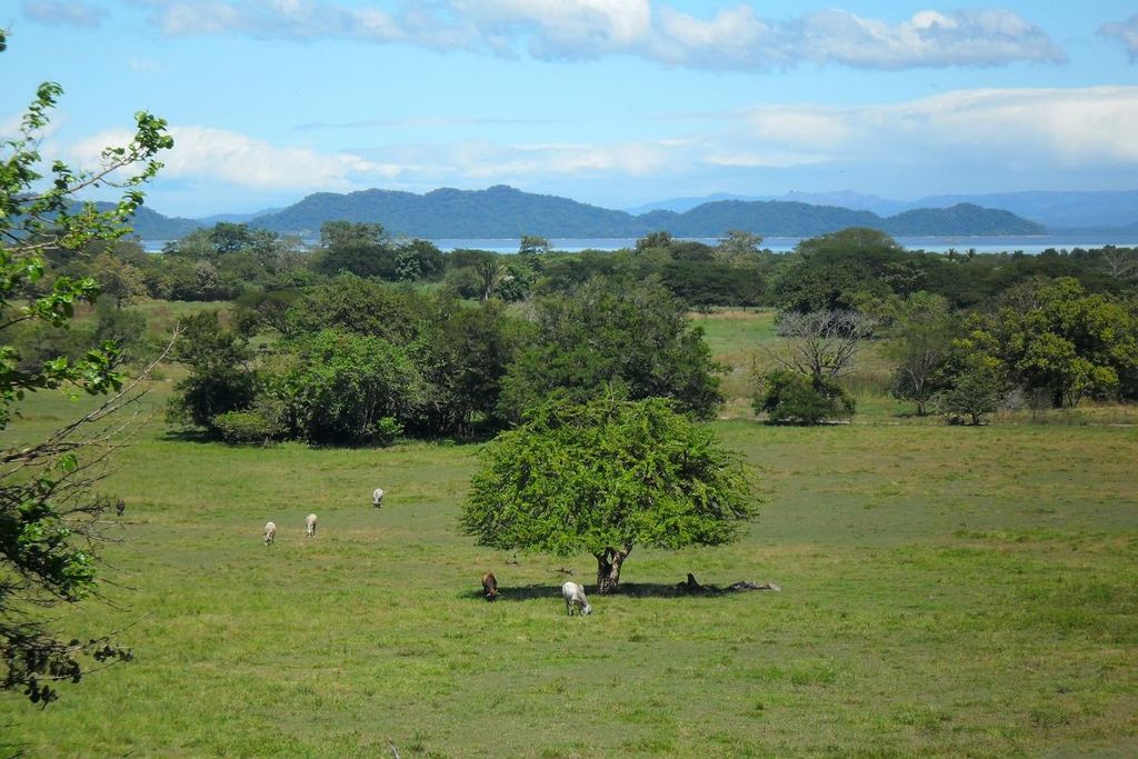 25 Safest Cities and Cantons in Costa Rica (2022 Update)