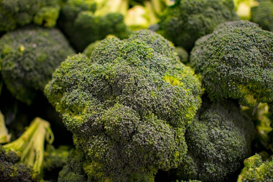 15 Best Vegetables to Grow in Minnesota