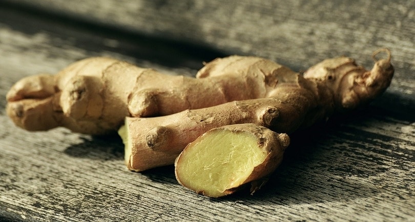 15 Best Types of Vegetables to Grow Indoors Under Lights