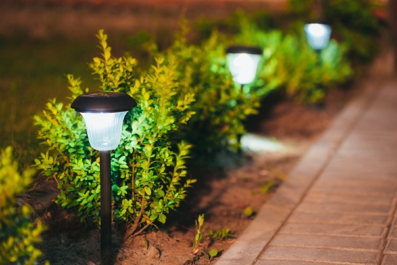 How to Fix Solar Lights In 12 Easy Steps (with Pictures)