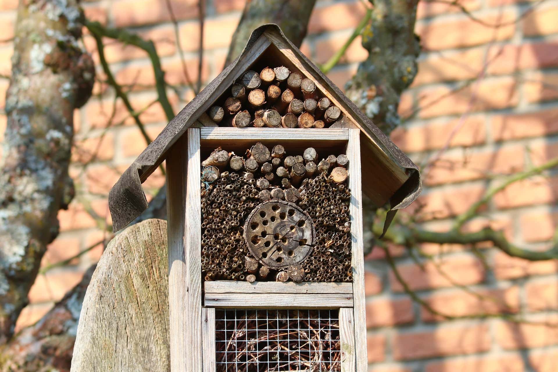7 DIY Bee House Plans You Can Make Today (with Pictures)