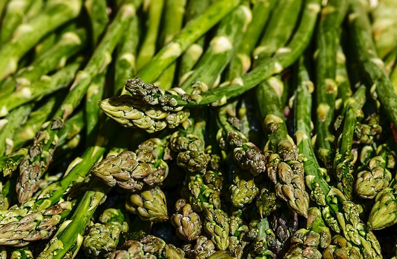 10 Best Vegetables To Grow In Texas (With Pictures)