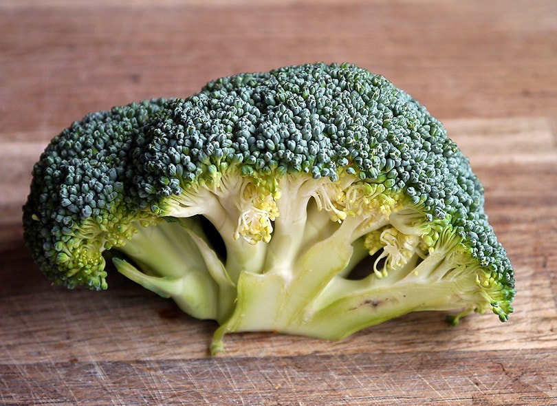 10 Best Vegetables To Grow In Texas (With Pictures)
