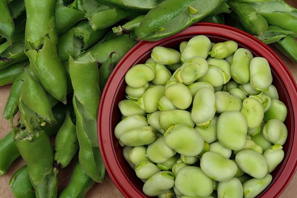 14 Best Vegetables to Grow in the Winter (With Pictures)