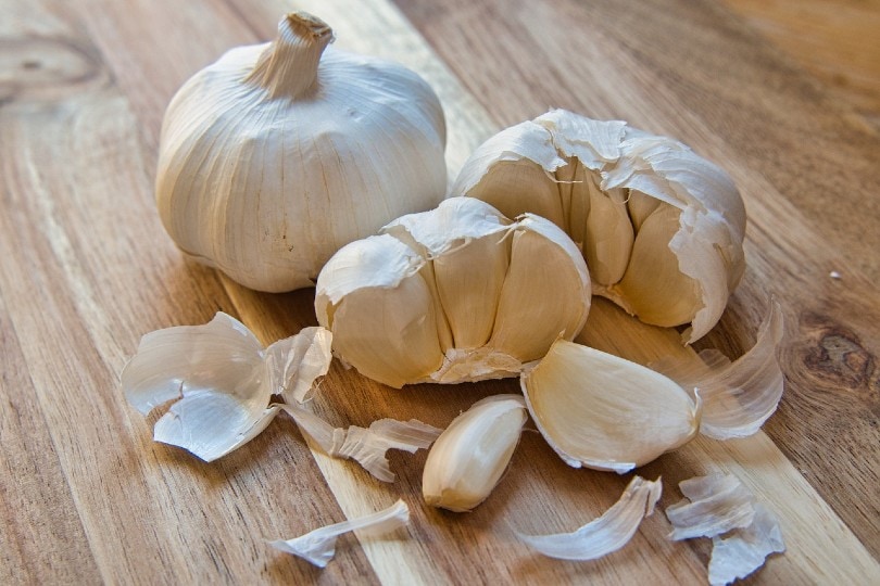 14 Best Vegetables to Grow in the Winter (With Pictures)