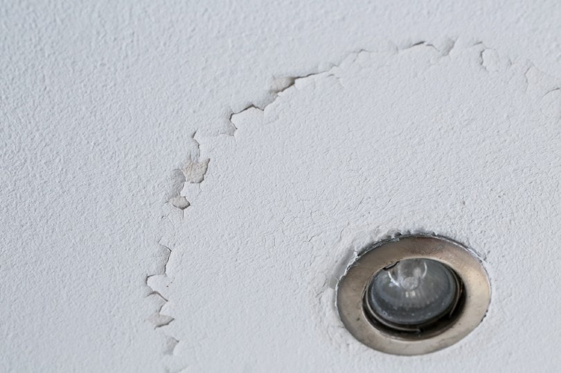 How To Prepare for A Home Inspection? 15 Tips for Sellers