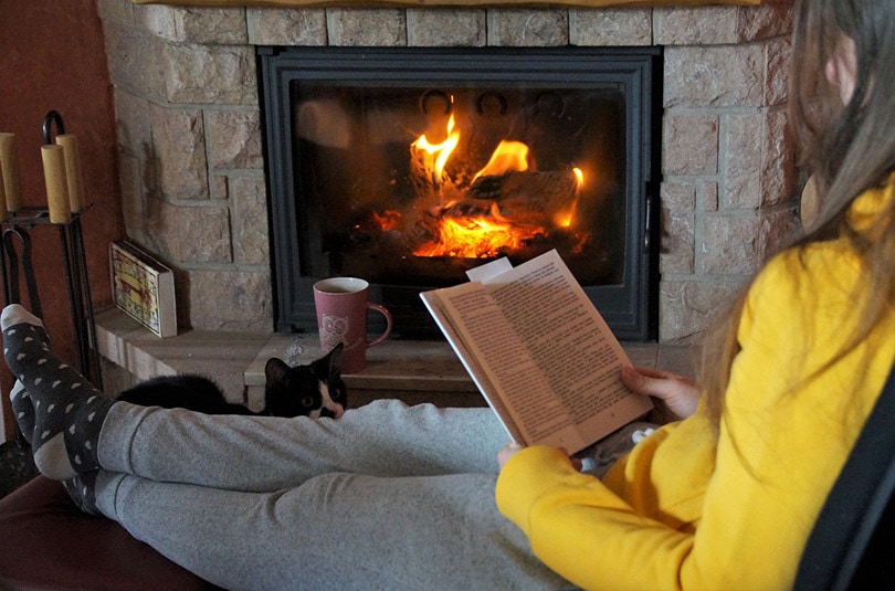 How To Prepare for A Home Inspection? 15 Tips for Sellers