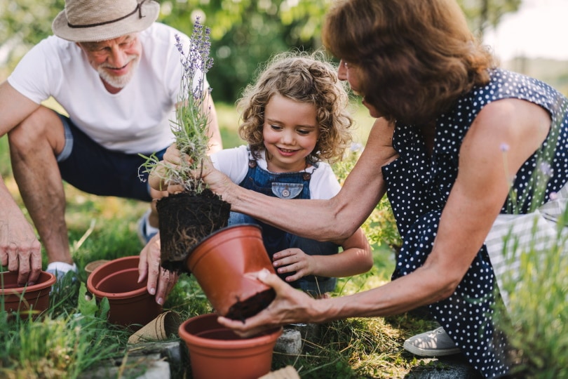 20 Easy Plants for Kids To Grow (with Pictures)